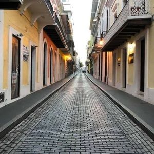 Meet your Posher, Janice